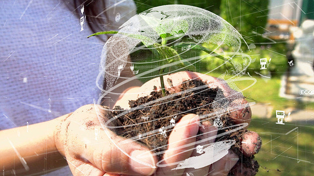 다운로드 (1).jpeg