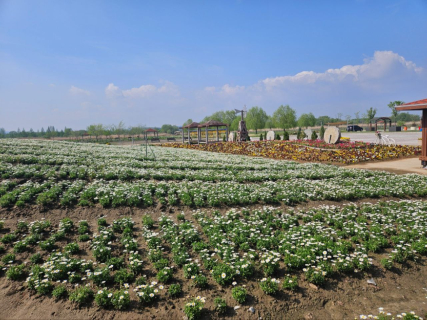 photo_2026-03-19_11-01-20 (2).jpg